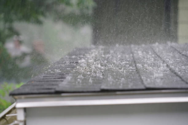 Reliable The Hammocks, FL Roofing Service Solutions